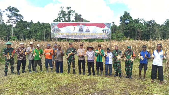 
 Gelar Panen Jagung,Dandim,Makanan Pokok Selain Nasi Adapun Sagu Dan Ubi