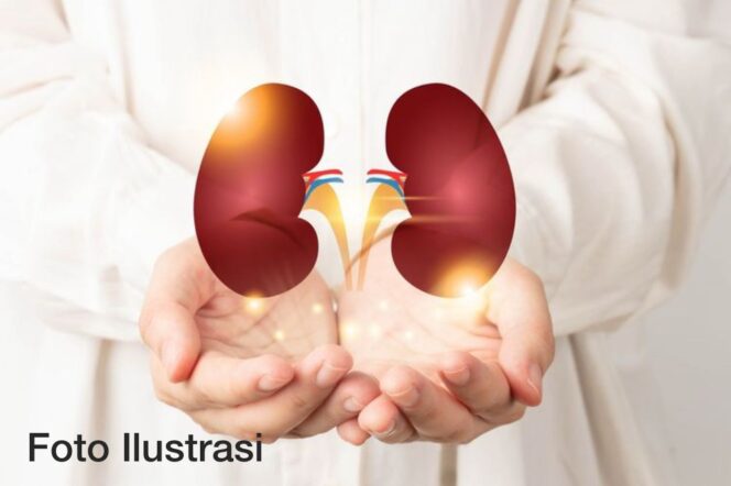 
 Gagal Ginjal Akut pada Anak Belum Ditemukan di Teluk Bintuni