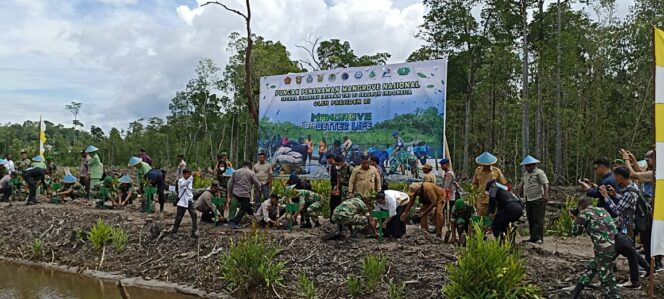 
 Penanaman Mangrove Nasional Secara Serentak Jajaran TNI di Seluruh Indonesia