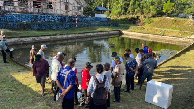 
 Suasana di tepi kolam milik jemaat Talitakum Warberik sesaat sebelum melepas ikan nila bantuan dari Pemda Biak Numfor, Minggu.
